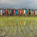 Adattarsi al cambiamento climatico e alle alluvioni
